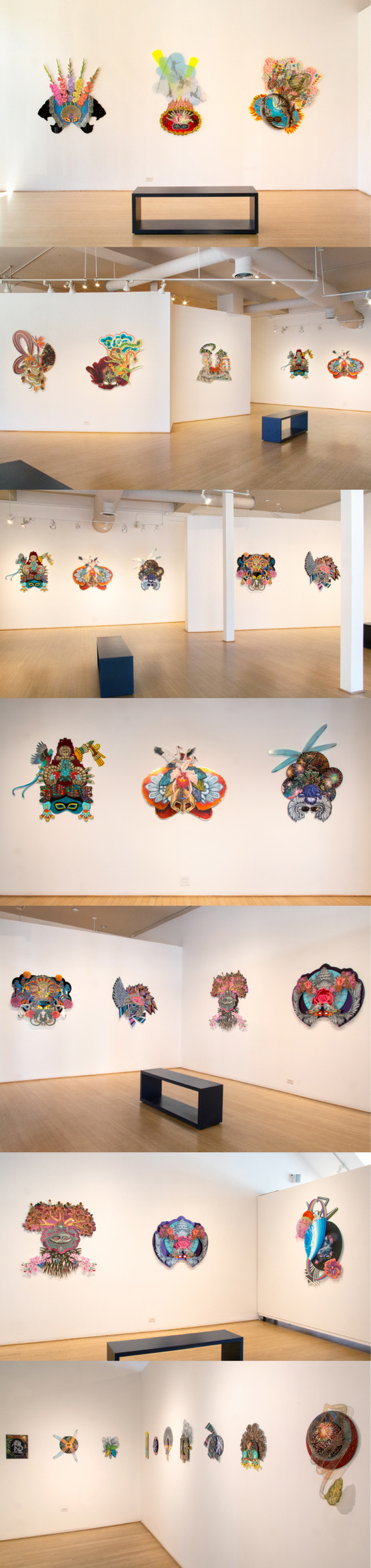 Installation Shots Radical Beauty
